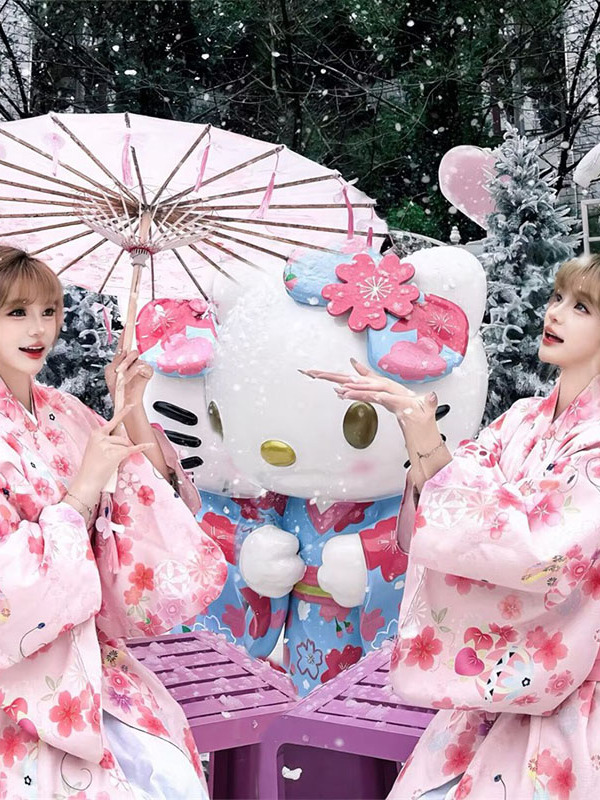 Geleneksel Japon Kimono Bornoz - Photography Online incelemesi ve fiyatı